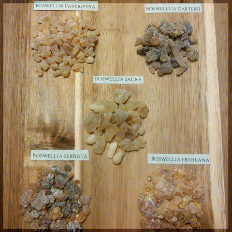 Frankincense Sampler