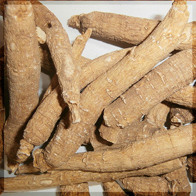 American Ginseng Root, Wisconsin