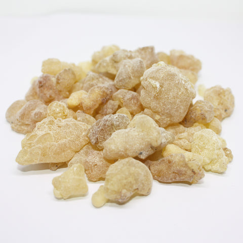 Ethiopian Frankincense - Boswellia papyrifea