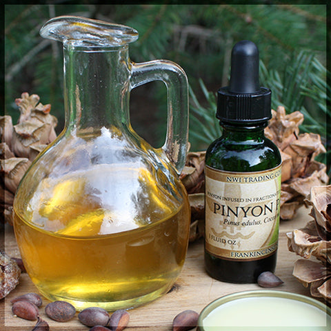 Pinyon Pine Infusion - Pinus Edulis