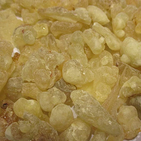 Superior Hojari Frankincense - Boswellia Sacra