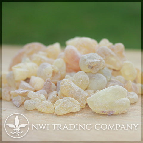 Boswellia Dalzielii - Frankincense Resin from West Africa