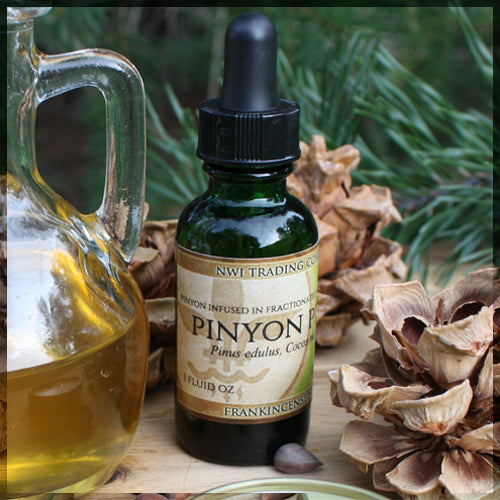 Pinyon Pine Infusion - Pinus Edulis